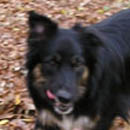 Emmett was adopted in March, 2005